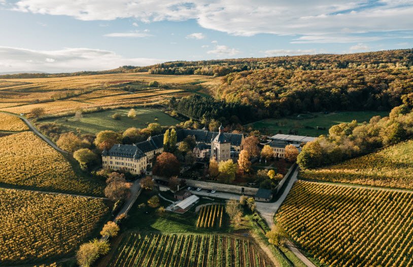 Weingut Schloss Vollrads, Oestrich-Winkel, Germany, Germany